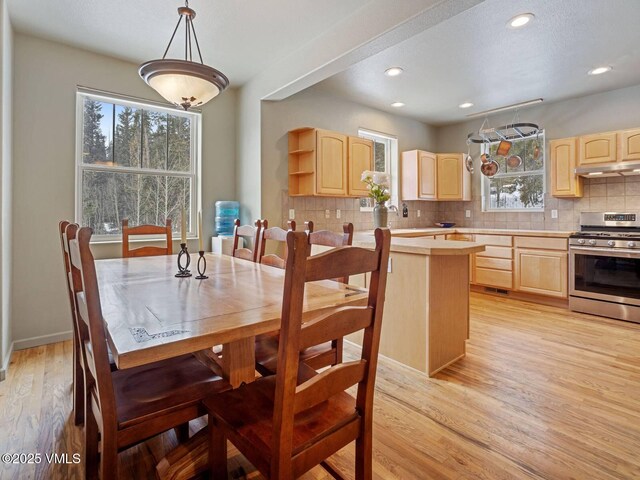 234 Peterson Dr, Alma, CO 80420 - photo 11