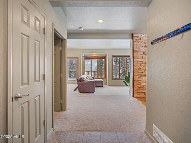 234 Peterson Dr, Alma, CO 80420 - photo 20