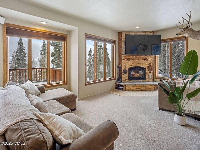 234 Peterson Dr, Alma, CO 80420 - photo 6