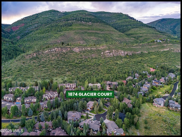1874 Glacier Ct Unit B, Vail, CO 81657 - photo 21