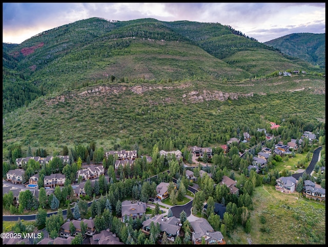1874 Glacier Ct Unit B, Vail, CO 81657 - photo 22