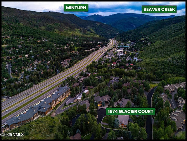 1874 Glacier Ct Unit B, Vail, CO 81657 - photo 27