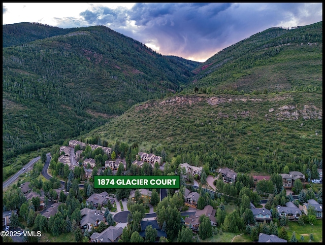 1874 Glacier Ct Unit B, Vail, CO 81657 - photo 2