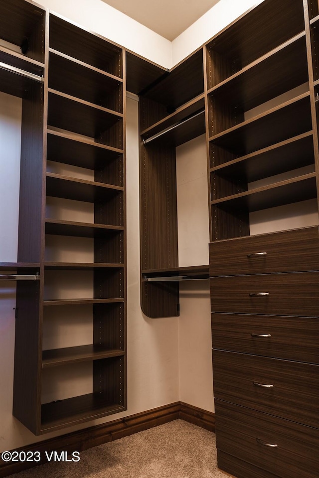 295 Main St Unit R305, Edwards, CO 81632 - walk in closet with carpet