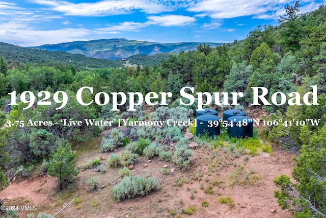 Listing photo 2 for 1929 Copper Spur Rd, Bond CO 80423