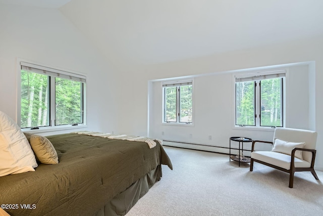 1359 Greenhill Ct Unit E, Vail, CO 81657 - bedroom featuring a baseboard heating unit, carpet floors, and vaulted ceiling