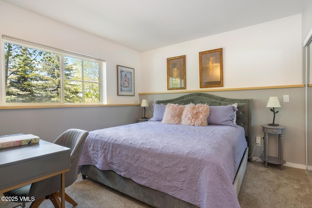 12 June Creek Rd, Edwards, CO 81632 - carpeted bedroom with baseboards