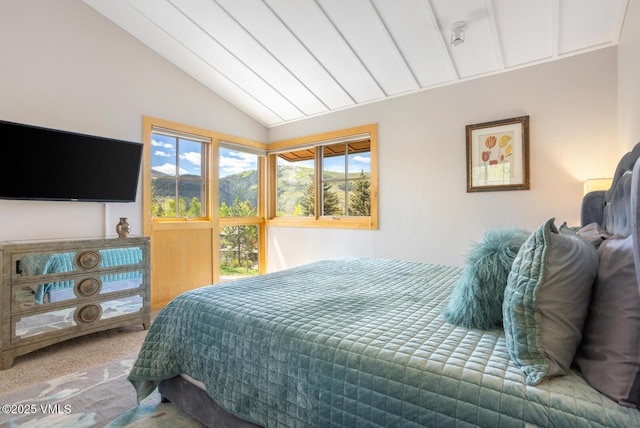 12 June Creek Rd, Edwards, CO 81632 - bedroom with vaulted ceiling and carpet