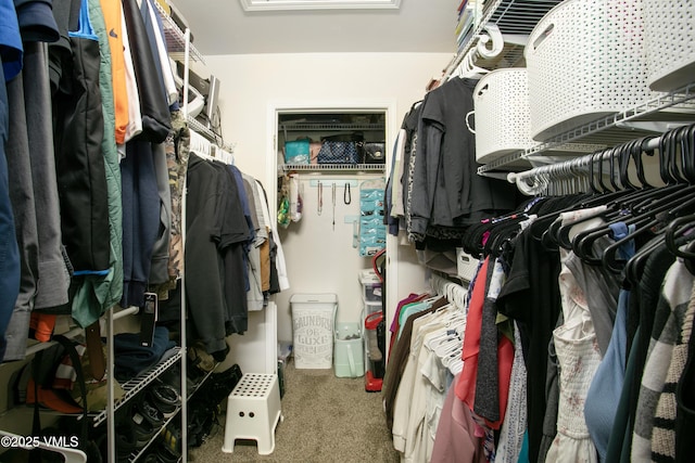 443 Porphyry Rd Unit F, Gypsum, CO 81637 - spacious closet with carpet floors