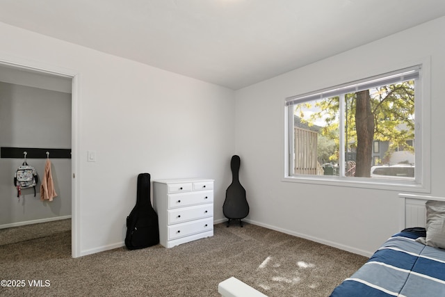 443 Porphyry Rd Unit F, Gypsum, CO 81637 - bedroom with carpet flooring and baseboards