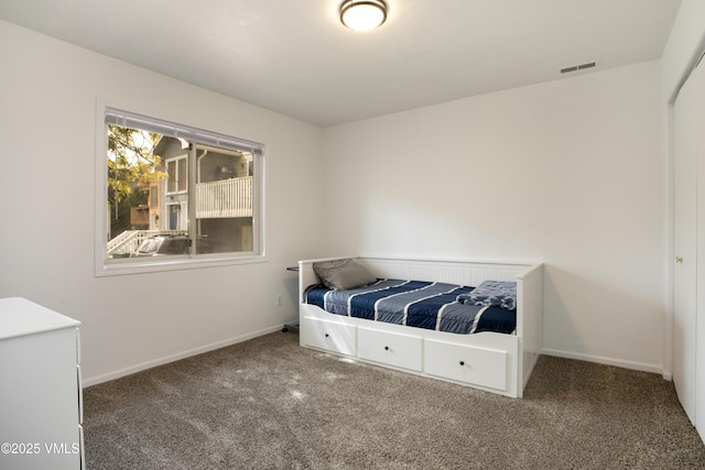 443 Porphyry Rd Unit F, Gypsum, CO 81637 - carpeted bedroom with baseboards