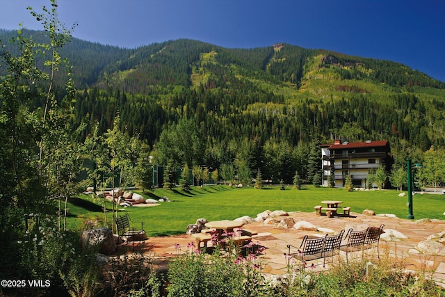 view of community with a yard, a mountain view, and a patio