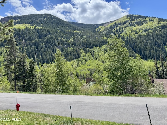 4093 Spruce Way # 30, Vail, CO 81657 - view of mountain background with a heavily wooded area