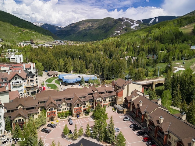 660 Lionshead Pl Unit H10Aka 158, Vail, CO 81657
