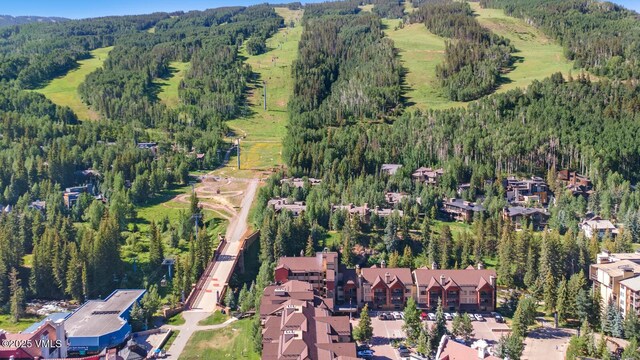 660 Lionshead Pl Unit H10Aka 158, Vail, CO 81657