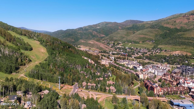 660 Lionshead Pl Unit H10Aka 158, Vail, CO 81657