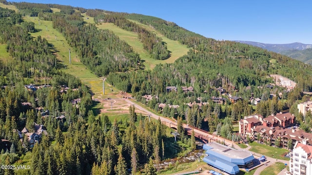 660 Lionshead Pl Unit H10Aka 158, Vail, CO 81657