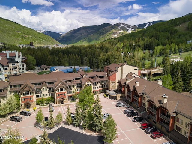 660 Lionshead Pl Unit H10Aka 158, Vail, CO 81657