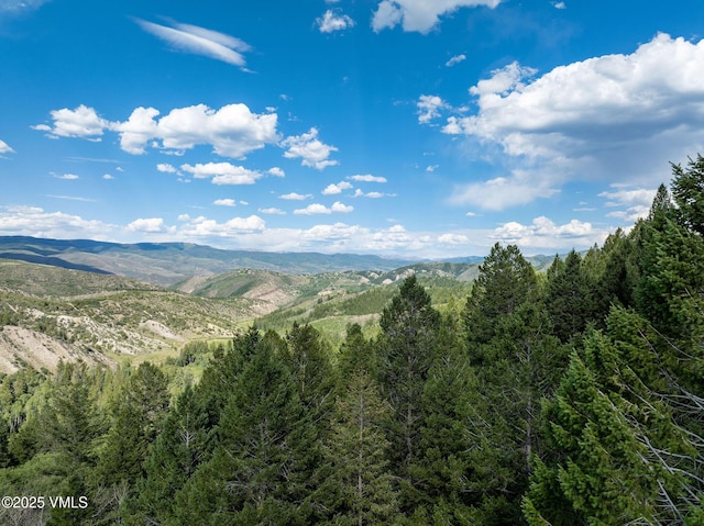 777 Graham Rd, Edwards, CO 81632 - photo 4