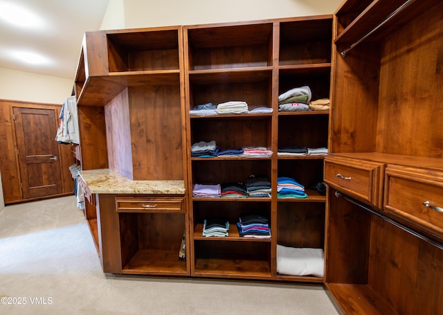 walk in closet with light colored carpet