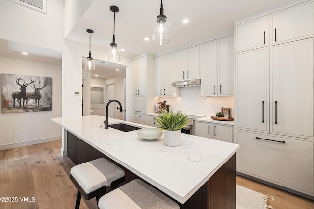 kitchen with a center island with sink, light wood finished floors, visible vents, a sink, and under cabinet range hood