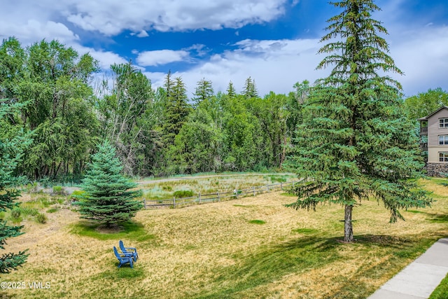 55 River Pines Ct Unit A204, Edwards, CO 81632 - view of yard