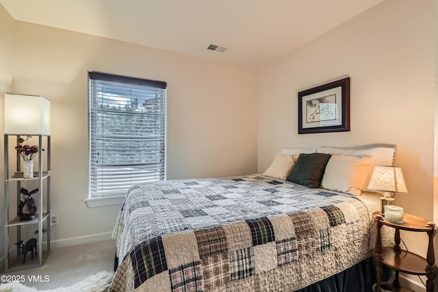 55 River Pines Ct Unit A204, Edwards, CO 81632 - bedroom with carpet floors and baseboards