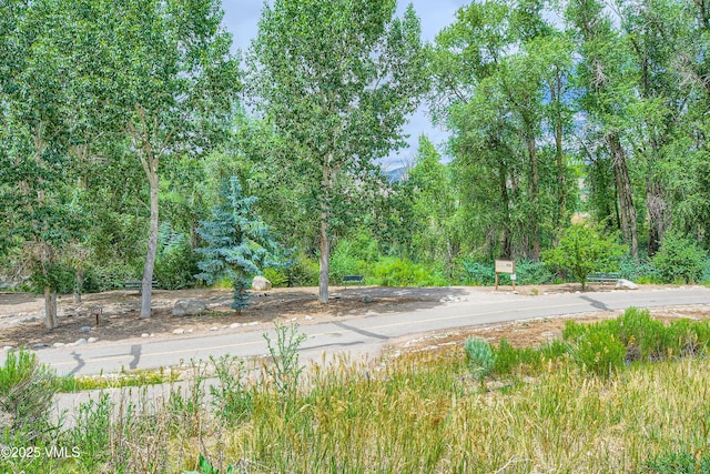 55 River Pines Ct Unit A204, Edwards, CO 81632 - view of yard