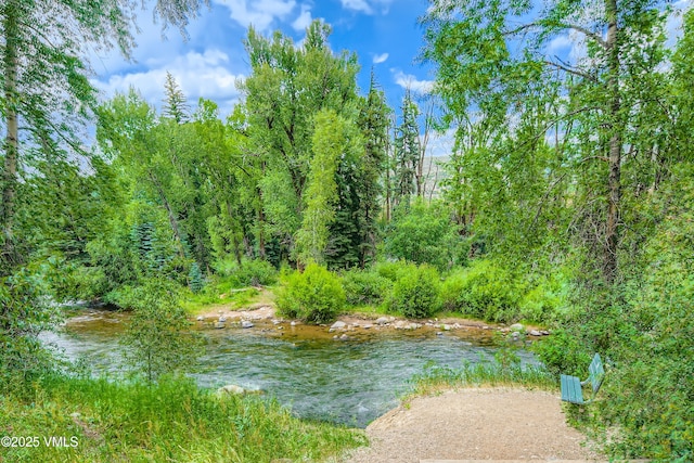 55 River Pines Ct Unit A204, Edwards, CO 81632 - water view