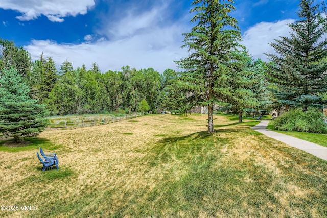 55 River Pines Ct Unit A204, Edwards, CO 81632 - view of green lawn
