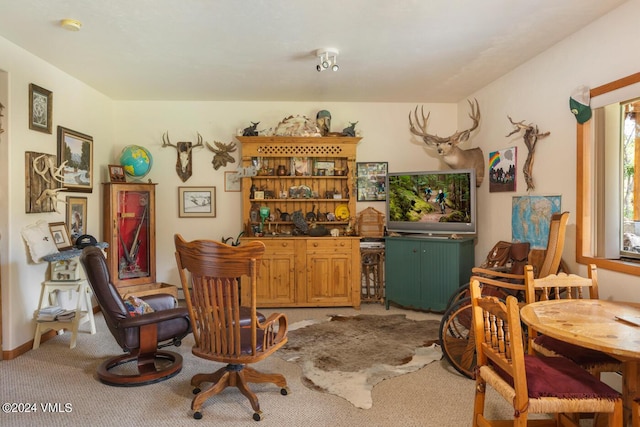 1121 150 County Rd, Gypsum, CO 81637 - photo 37