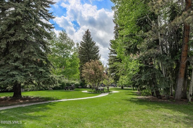 103 Willow Pl Unit 301, Vail, CO 81657 - view of community featuring a lawn