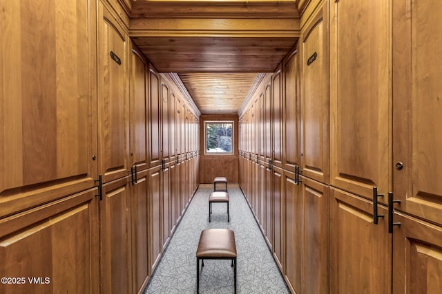 interior space with light carpet, wooden walls, and wooden ceiling