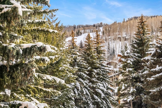 view of snowy landscape