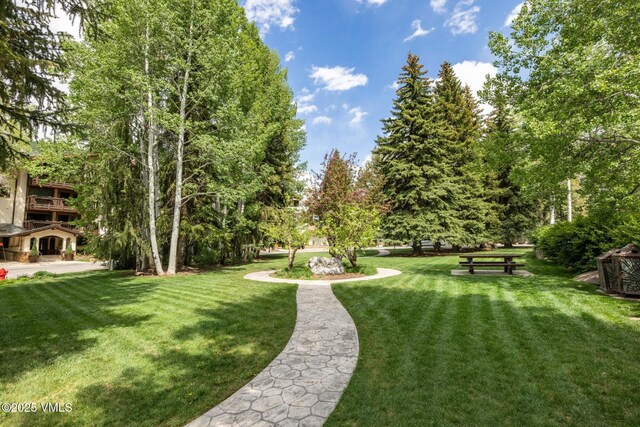 103 Willow Pl Unit 301, Vail, CO 81657 - view of property's community with a lawn