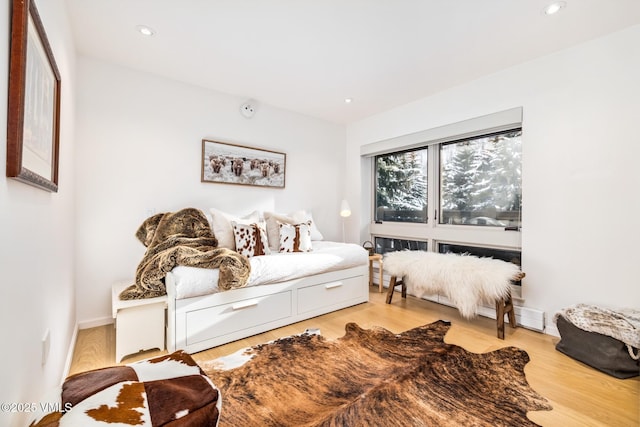 living room featuring light wood-type flooring