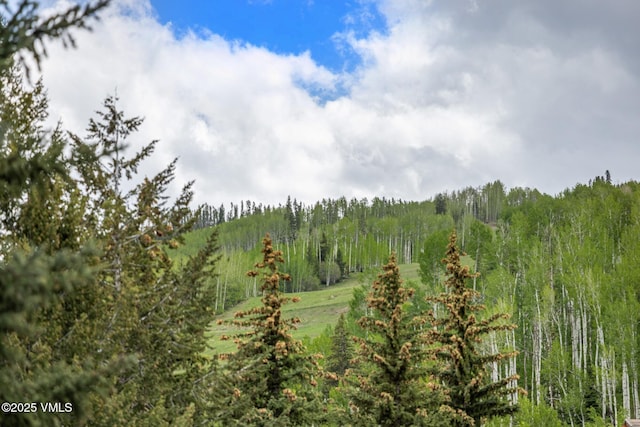 103 Willow Pl Unit 301, Vail, CO 81657 - view of wooded area