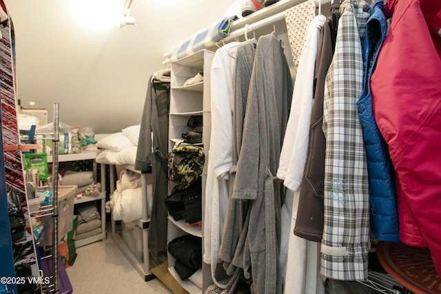 walk in closet featuring carpet flooring