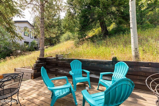 1320 Deer Blvd, Eagle-Vail, CO 81620 - photo 19