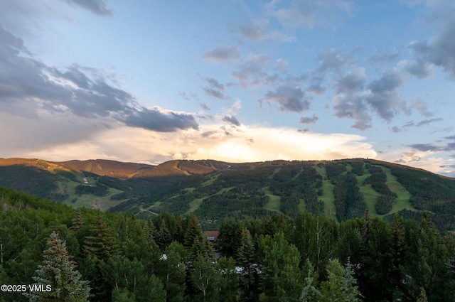 780 Potato Patch Dr, Vail, CO 81657 - mountain view