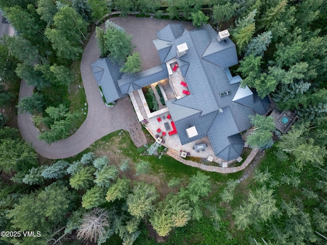 780 Potato Patch Dr, Vail, CO 81657 - view from above of property