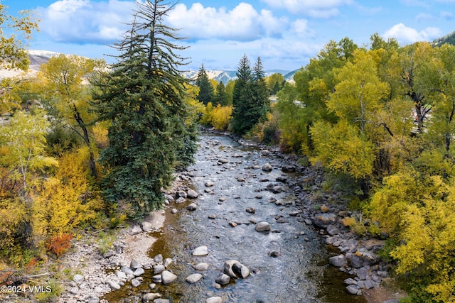 view of local wilderness