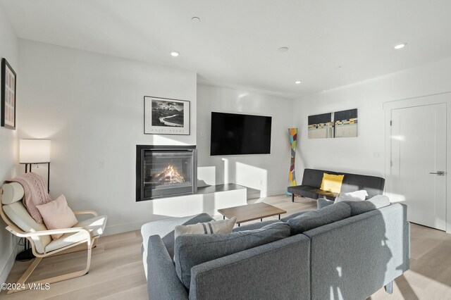 living room featuring light hardwood / wood-style flooring