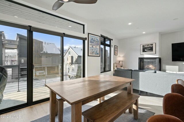 dining room featuring ceiling fan and light wood-type flooring