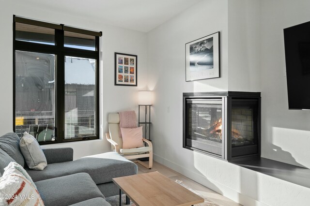 living room featuring a multi sided fireplace