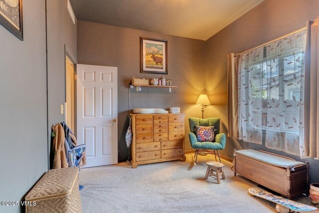 612 Sunny Ave, Gypsum, CO 81637 - photo 28