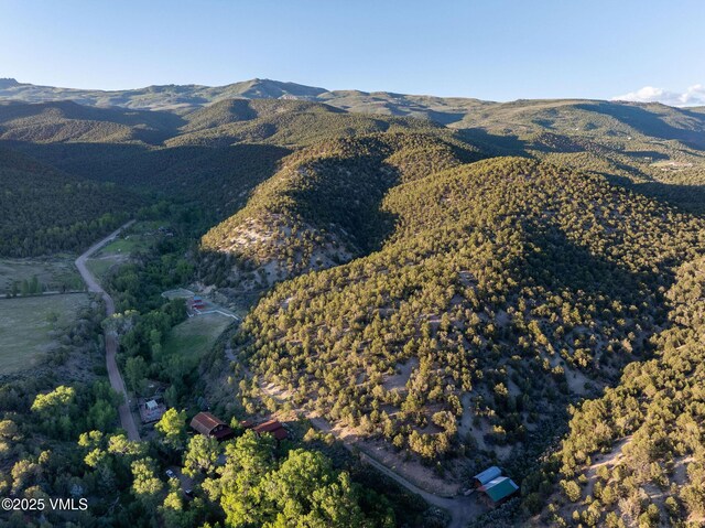 1794 Eby Creek Rd, Eagle, CO 81631 - photo 45