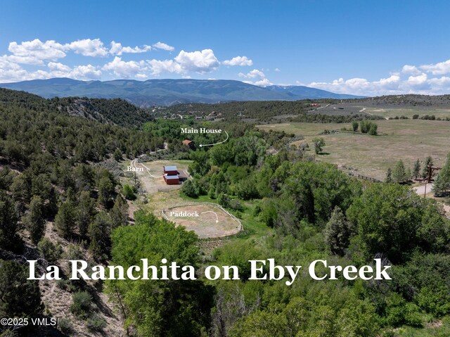 1794 Eby Creek Rd, Eagle, CO 81631 - photo 44
