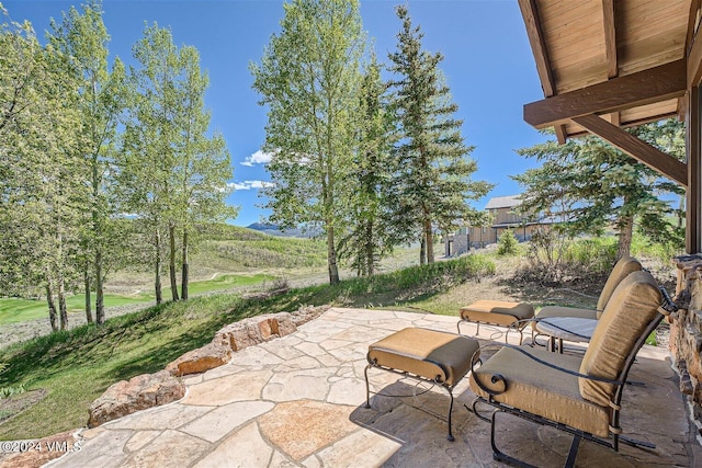 1092 The Summit Trl, Edwards, CO 81632 - photo 51