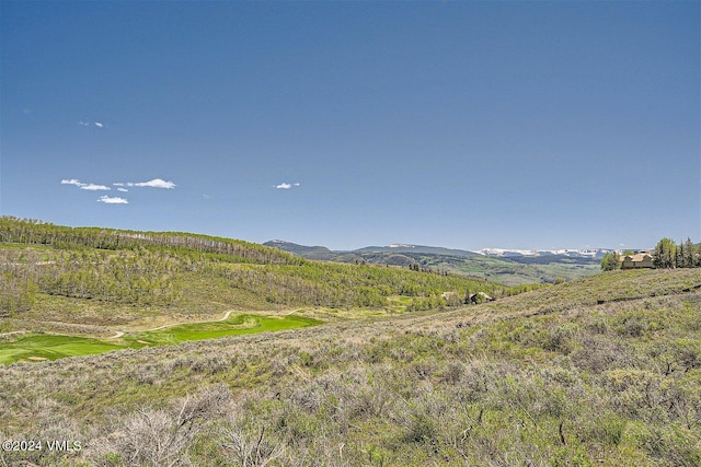 1092 The Summit Trl, Edwards, CO 81632 - photo 65